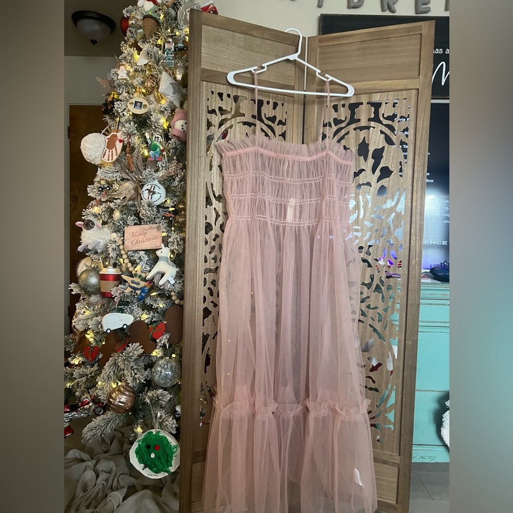 Anthropologie Sheer Dress💞💞💞